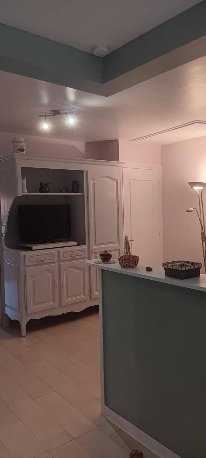 Appartement 120 M² Duplex Coeur Historique Au Calme Le Puy-en-Velay Esterno foto